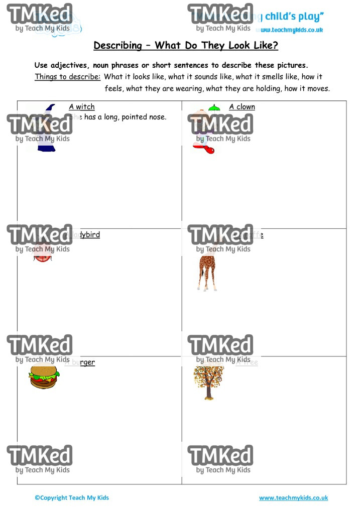 Worksheets for kids - describing_-_what_do_they_look_like