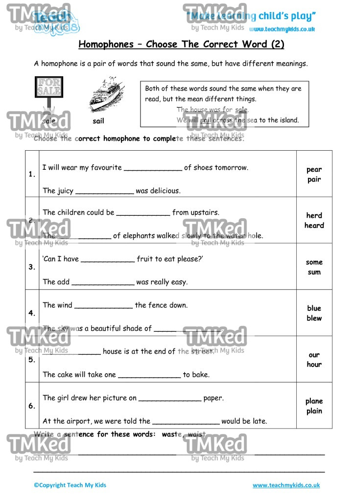 Worksheets for kids - homophoneschoose-correct-word-2