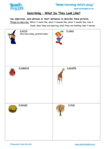 Worksheets for kids - describing_-_what_do_they_look_like