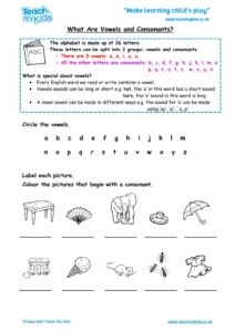 Worksheets for kids - what-are-vowels-and-consonants