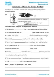 Homophones and Adverbs Pack: KS2 Year 3 and 4